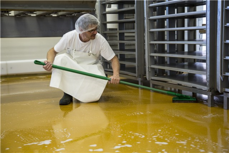 Vikan Pad hart 245 mm (10Stk.)